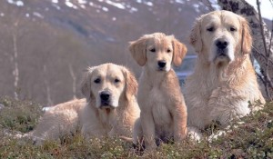 The gang:)