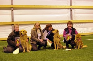 Tommy og Basse,Dommer:Tanja Hulsund,Meg og Solan.Gøril og Sandra. 3 retrivere på de 3 første plassene:):)