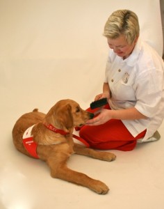 Noe av det pasientene kan gjøre sammen med en omsorgshund, er å gre og stelle omsorgshunden. Dette gir innsikt i daglig pleie, både for hund og mennesker, - samt trening som fremkaller empati og omsorg.