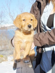 Milo